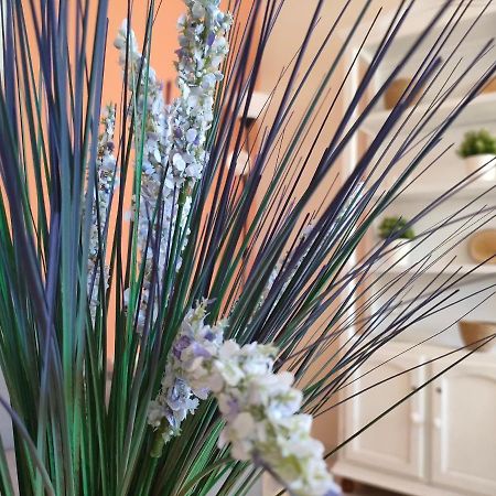 Apartamento 6 De Mayo Ronda Zewnętrze zdjęcie
