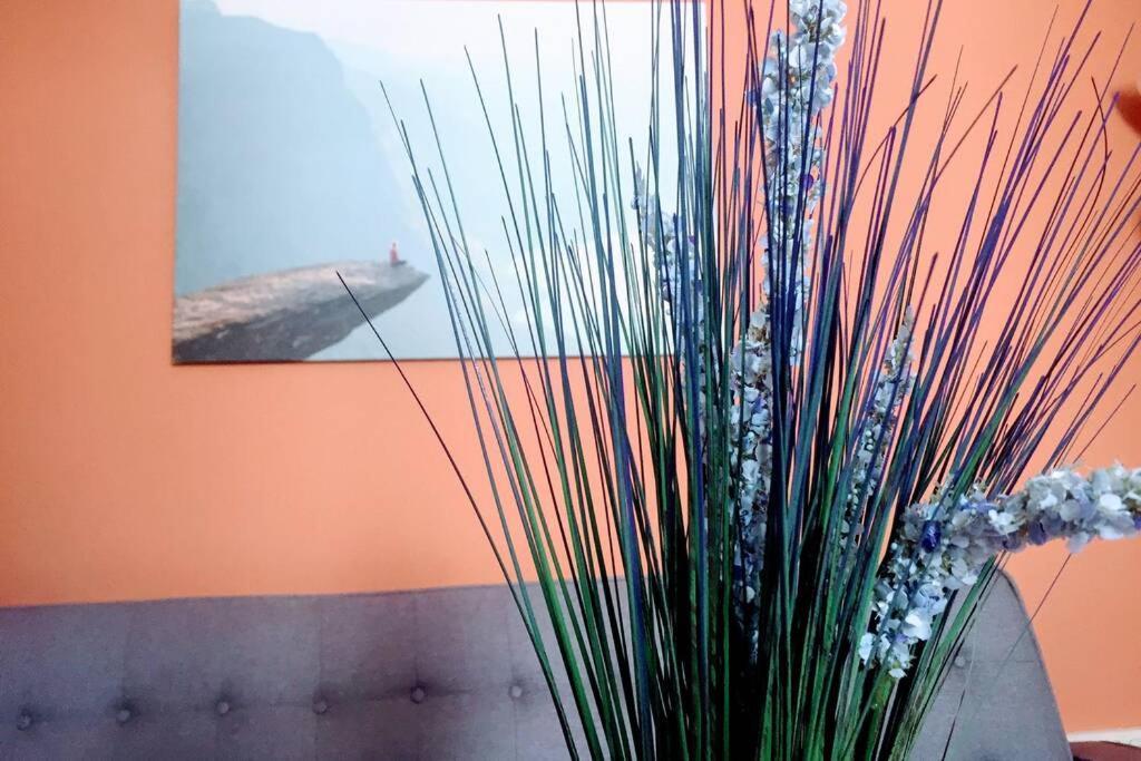 Apartamento 6 De Mayo Ronda Zewnętrze zdjęcie